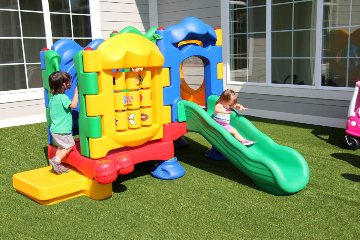 Seedling Playground - Image 3