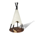 Tipi & Cover