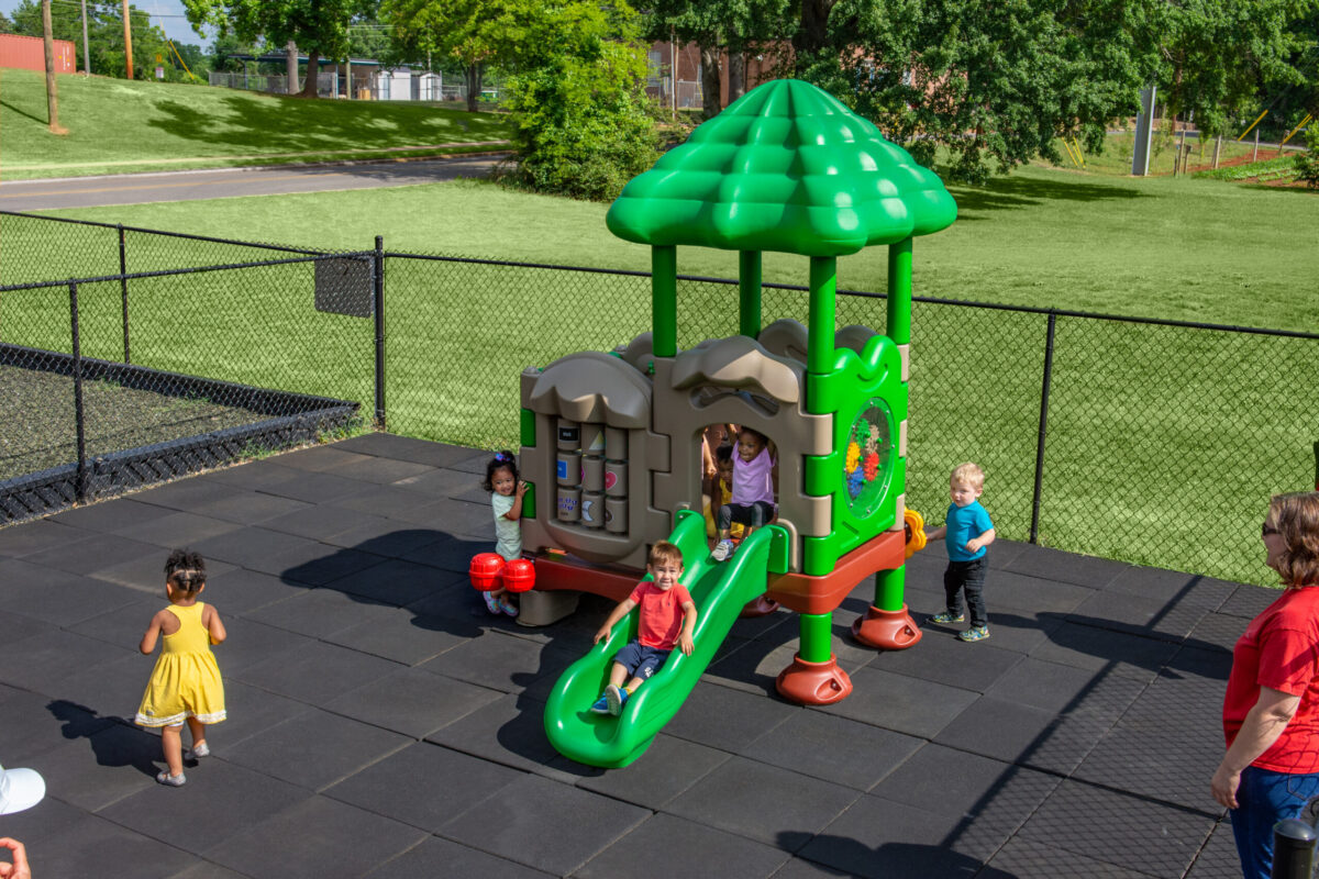 Seedling Playground - Image 2