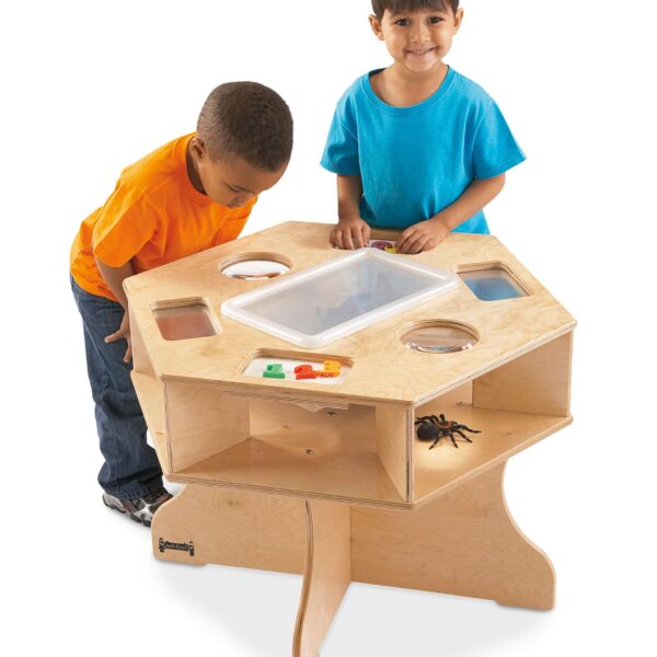 Science Activity Table