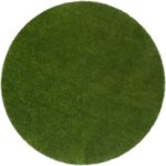 GreenSpace Carpet