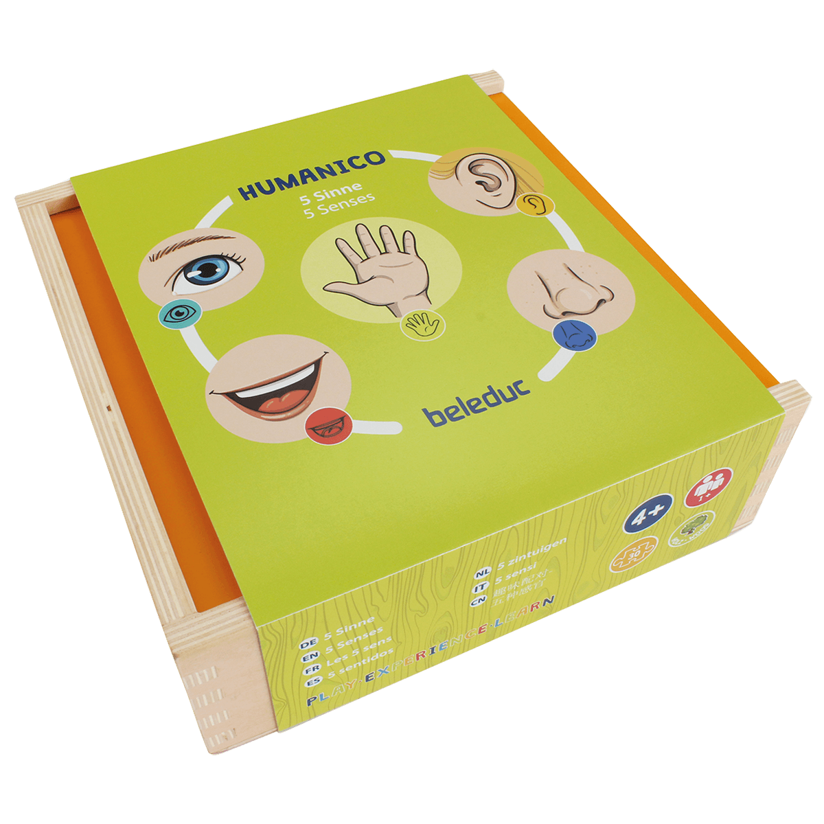 11556-Cover-rgb.png HUMANICO "5 senses" - Image 1