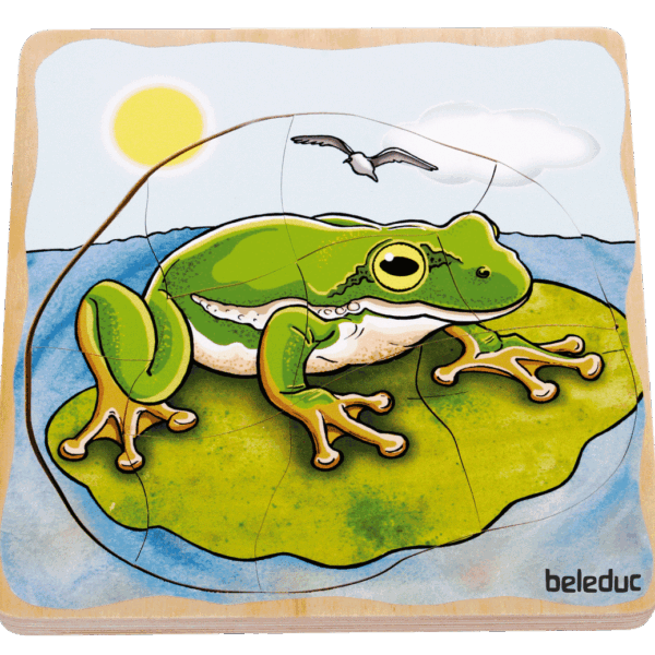 Layer Puzzle "Frog"