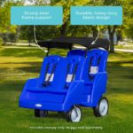 Parade 4 Quad Buggy Roof